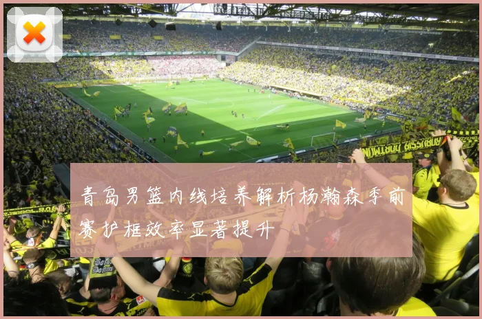 青岛男篮内线培养解析杨瀚森季前赛护框效率显著提升