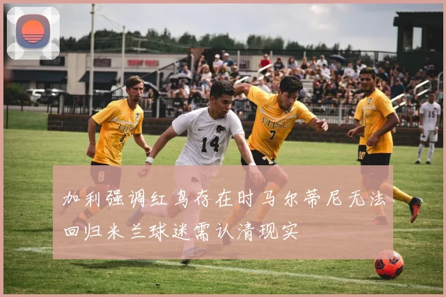 加利强调红鸟存在时马尔蒂尼无法回归米兰球迷需认清现实