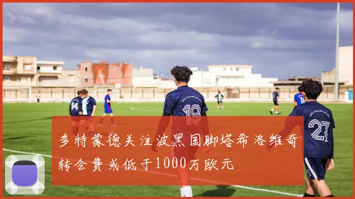 多特蒙德关注波黑国脚塔希洛维奇转会费或低于1000万欧元